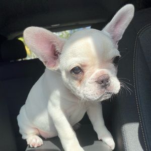 Meet your Posher, Camila